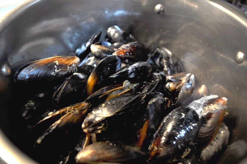 Steaming mussels